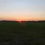 Königer